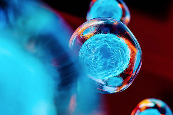 stem-cell