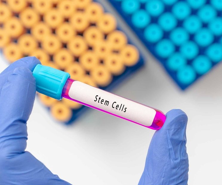 Stem Cell Doctor Near La Vale, Maryland for Chronic Joint and Spine Pain: Costs, Risks, and Results