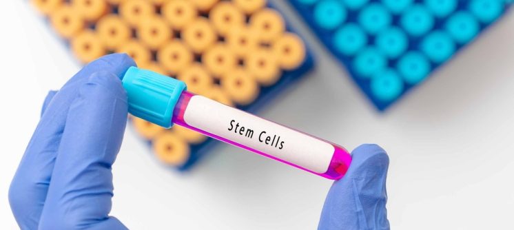 Stem Cell Doctor Near La Vale, Maryland for Chronic Joint and Spine Pain: Costs, Risks, and Results