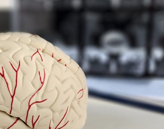 Brain Scans for Parkinsons Disease Near Cumberland and Hagerstown, MD
